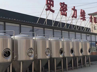裕民精酿啤酒设备厂—如何判断精酿啤酒设备的密封件需要更换？